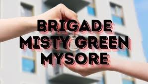 About Brigade Misty Green ceilo